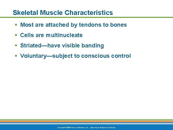 Skeletal Muscle Characteristics § Most are attached by tendons to bones § Cells are