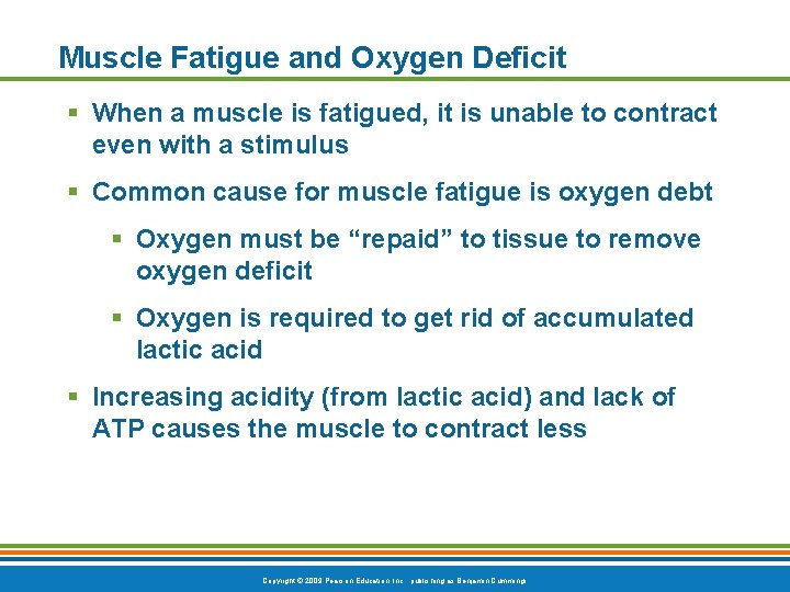 Muscle Fatigue and Oxygen Deficit § When a muscle is fatigued, it is unable