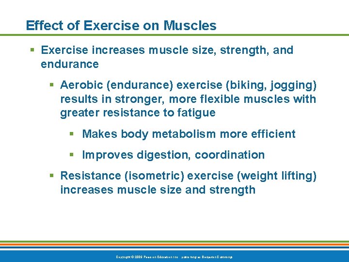 Effect of Exercise on Muscles § Exercise increases muscle size, strength, and endurance §