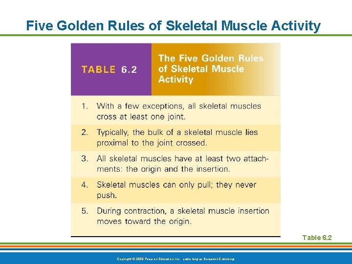 Five Golden Rules of Skeletal Muscle Activity Table 6. 2 Copyright © 2009 Pearson