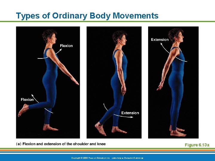 Types of Ordinary Body Movements Figure 6. 13 a Copyright © 2009 Pearson Education,