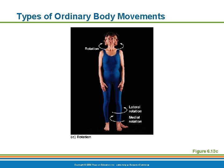 Types of Ordinary Body Movements Figure 6. 13 c Copyright © 2009 Pearson Education,