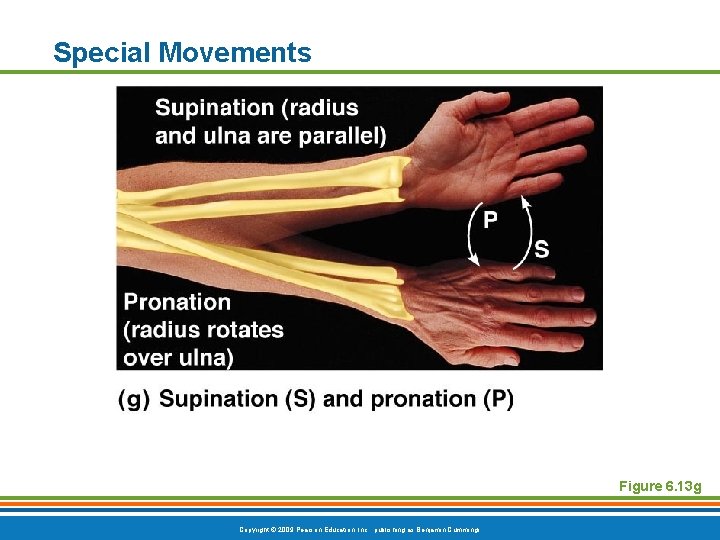 Special Movements Figure 6. 13 g Copyright © 2009 Pearson Education, Inc. , publishing