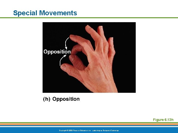 Special Movements Figure 6. 13 h Copyright © 2009 Pearson Education, Inc. , publishing