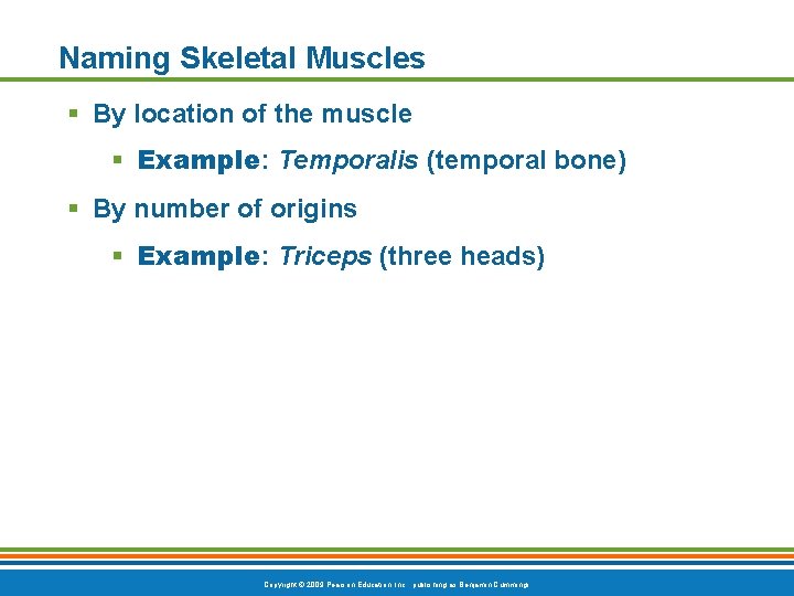 Naming Skeletal Muscles § By location of the muscle § Example: Temporalis (temporal bone)