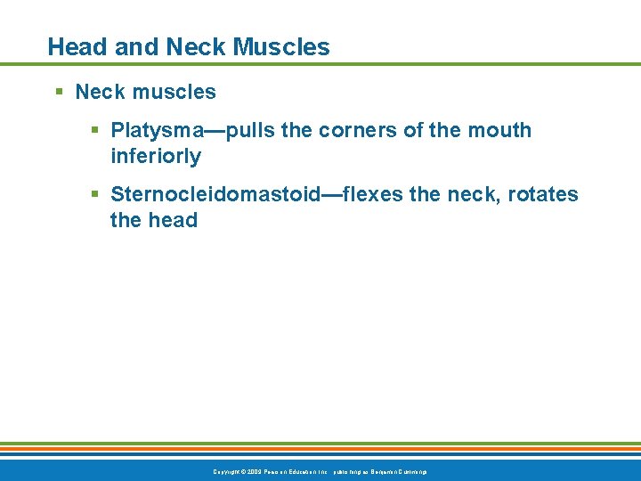 Head and Neck Muscles § Neck muscles § Platysma—pulls the corners of the mouth