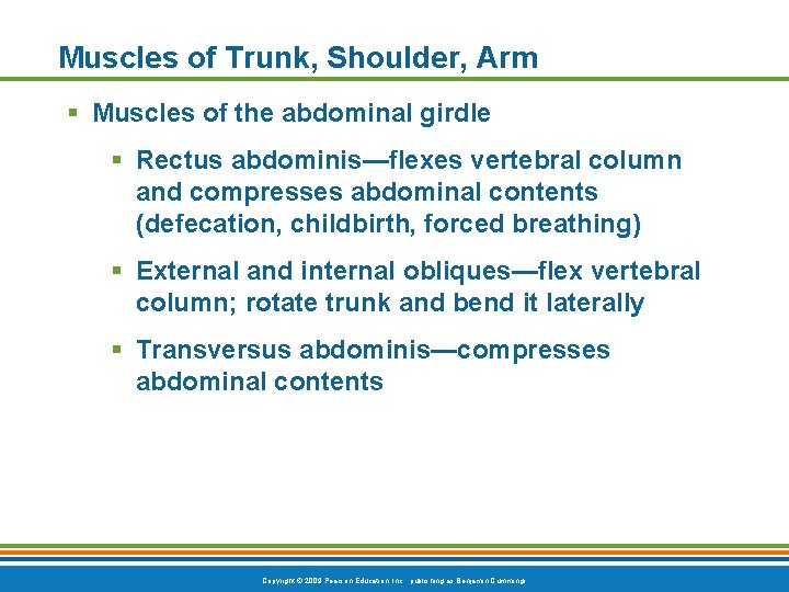 Muscles of Trunk, Shoulder, Arm § Muscles of the abdominal girdle § Rectus abdominis—flexes