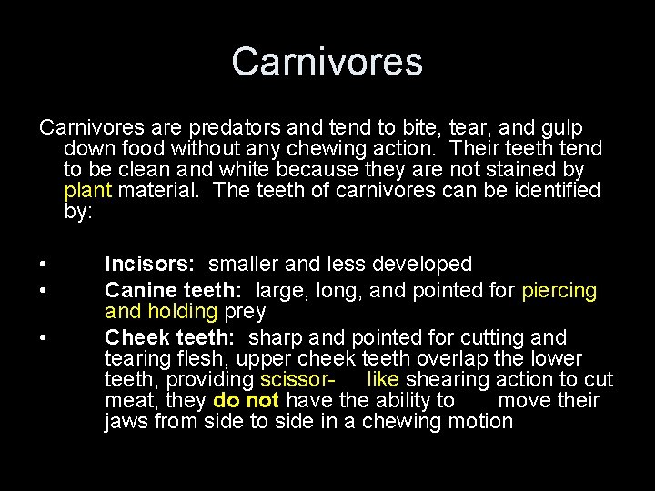 Carnivores are predators and tend to bite, tear, and gulp down food without any