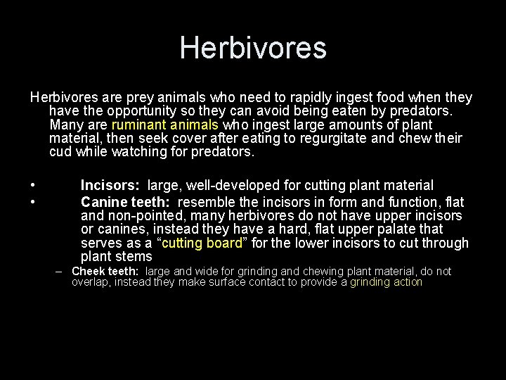 Herbivores are prey animals who need to rapidly ingest food when they have the