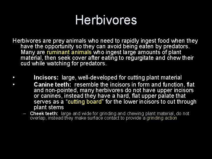 Herbivores are prey animals who need to rapidly ingest food when they have the Herbivores are prey animals who need to rapidly ingest food when they have the
