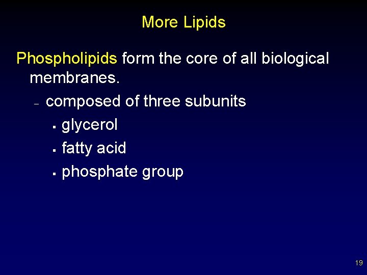 More Lipids Phospholipids form the core of all biological membranes. – composed of three
