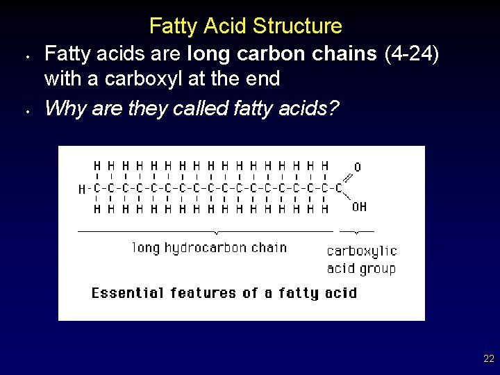Fatty Acid Structure • • Fatty acids are long carbon chains (4 -24) with
