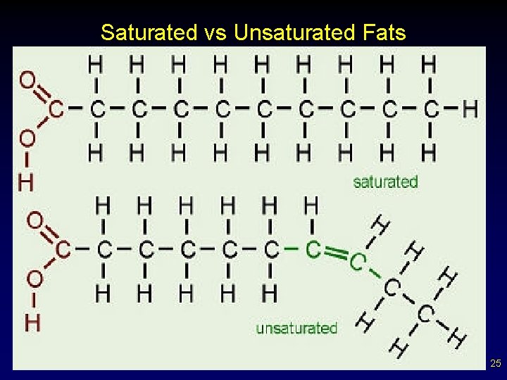 Saturated vs Unsaturated Fats 25 
