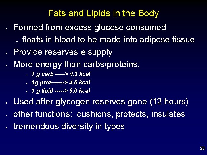 Fats and Lipids in the Body • • • Formed from excess glucose consumed