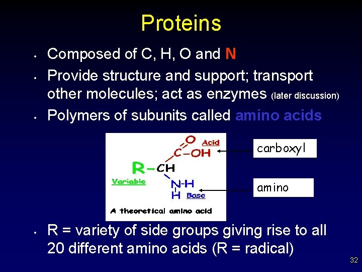 Proteins • • • Composed of C, H, O and N Provide structure and
