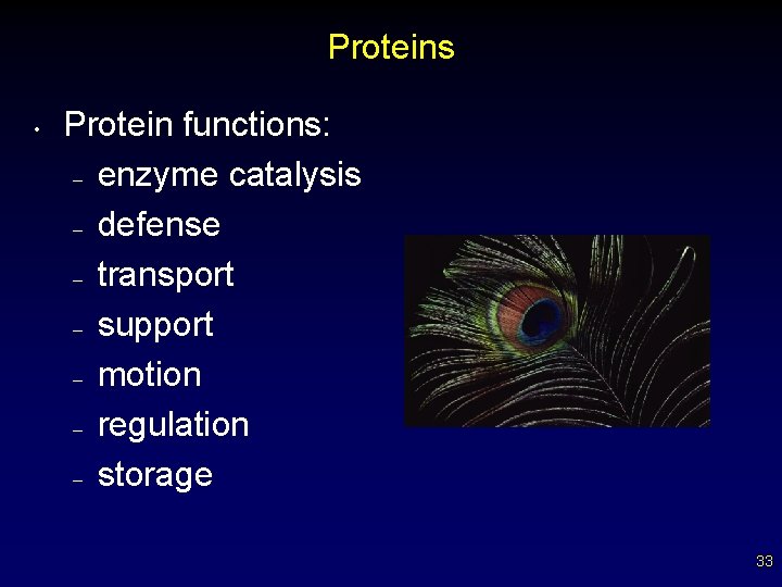 Proteins • Protein functions: – enzyme catalysis – defense – transport – support –