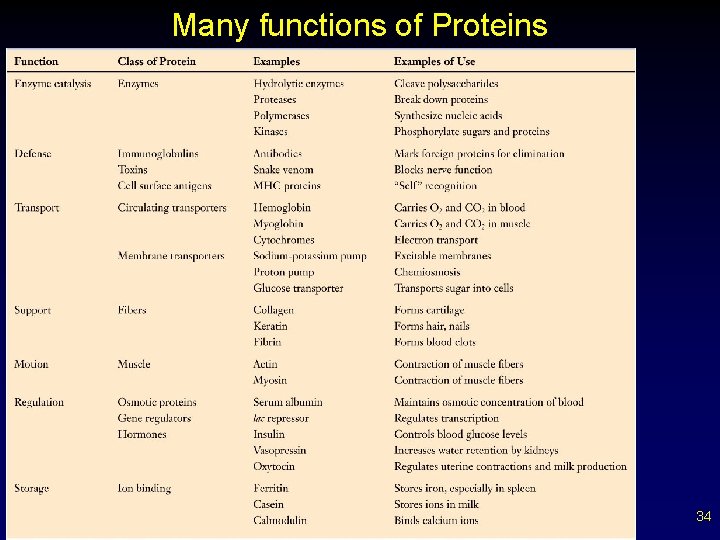 Many functions of Proteins 34 
