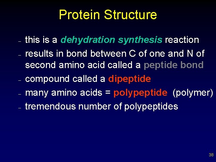 Protein Structure – – – this is a dehydration synthesis reaction results in bond