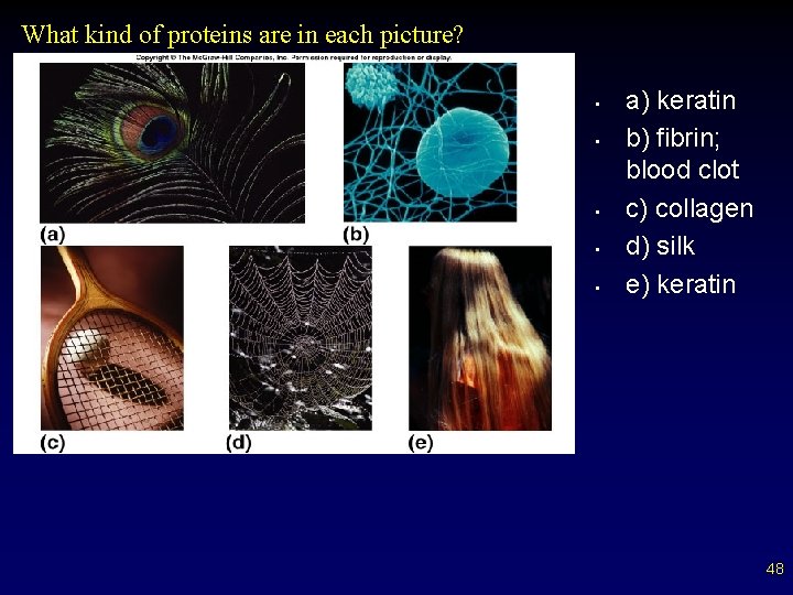 What kind of proteins are in each picture? • • • a) keratin b)