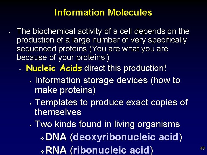 Information Molecules • The biochemical activity of a cell depends on the production of