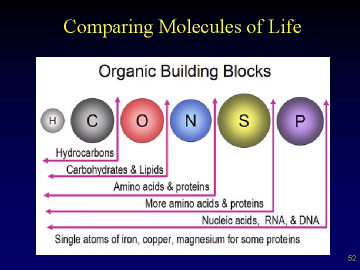Comparing Molecules of Life 52 