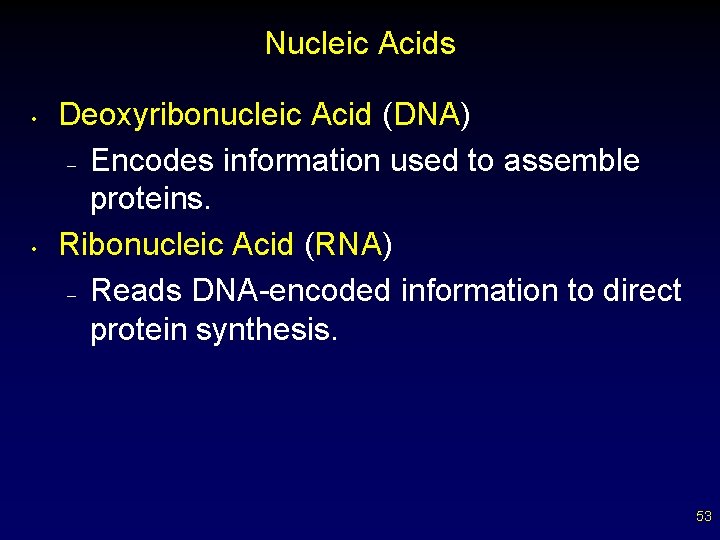 Nucleic Acids • • Deoxyribonucleic Acid (DNA) – Encodes information used to assemble proteins.