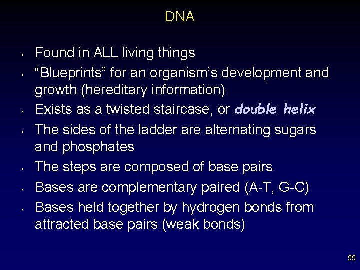 DNA • • Found in ALL living things “Blueprints” for an organism’s development and