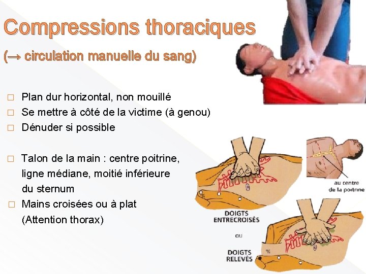 Compressions thoraciques (→ circulation manuelle du sang) Plan dur horizontal, non mouillé � Se