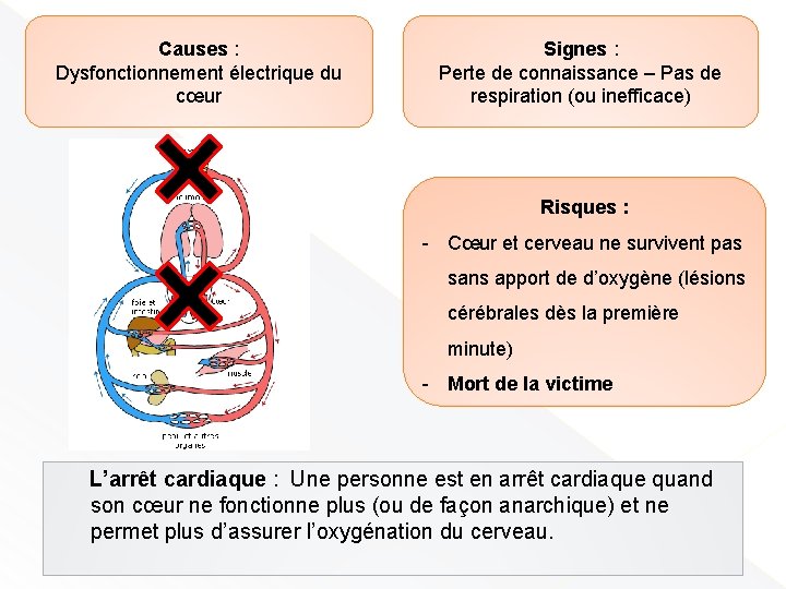 Causes : Dysfonctionnement électrique du cœur Signes : Perte de connaissance – Pas de