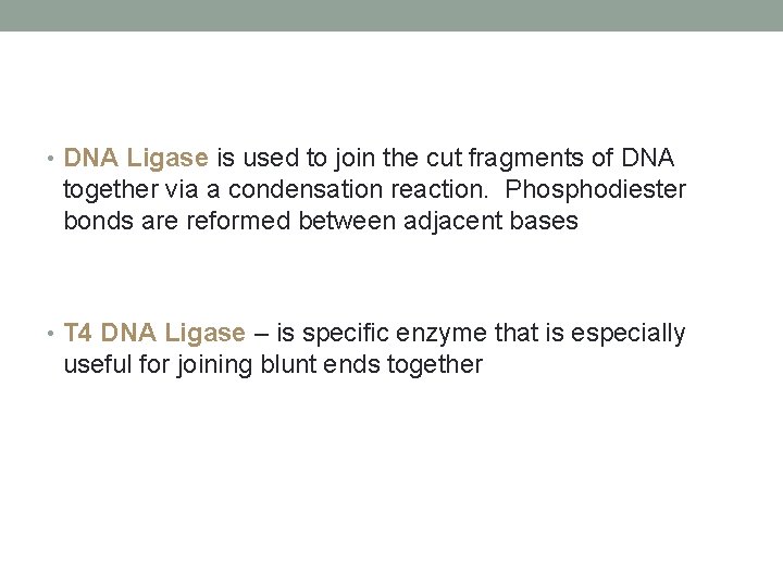  • DNA Ligase is used to join the cut fragments of DNA together