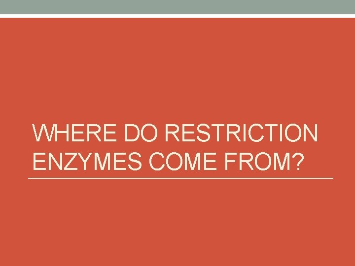 WHERE DO RESTRICTION ENZYMES COME FROM? 