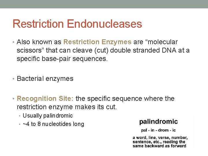 Restriction Endonucleases • Also known as Restriction Enzymes are “molecular scissors” that can cleave