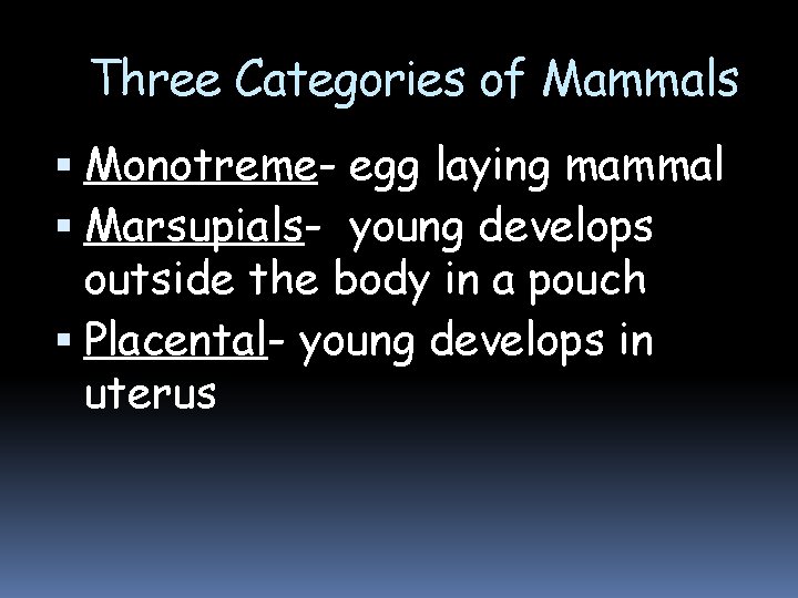 Three Categories of Mammals Monotreme- egg laying mammal Marsupials- young develops outside the body