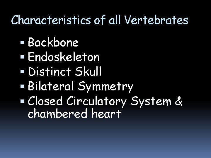 Characteristics of all Vertebrates Backbone Endoskeleton Distinct Skull Bilateral Symmetry Closed Circulatory System &