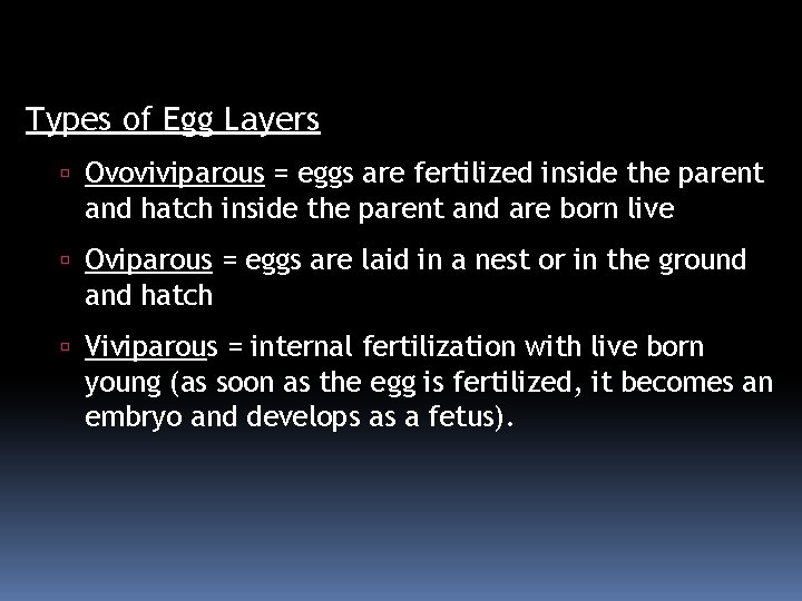Types of Egg Layers Ovoviviparous = eggs are fertilized inside the parent and hatch