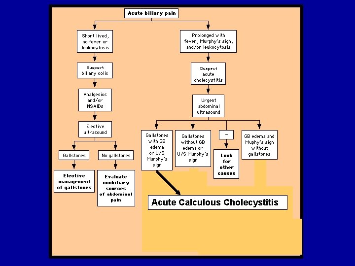 Acute Calculous Cholecystitis 