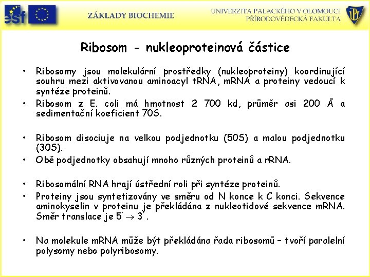 Ribosom - nukleoproteinová částice • • Ribosomy jsou molekulární prostředky (nukleoproteiny) koordinující souhru mezi