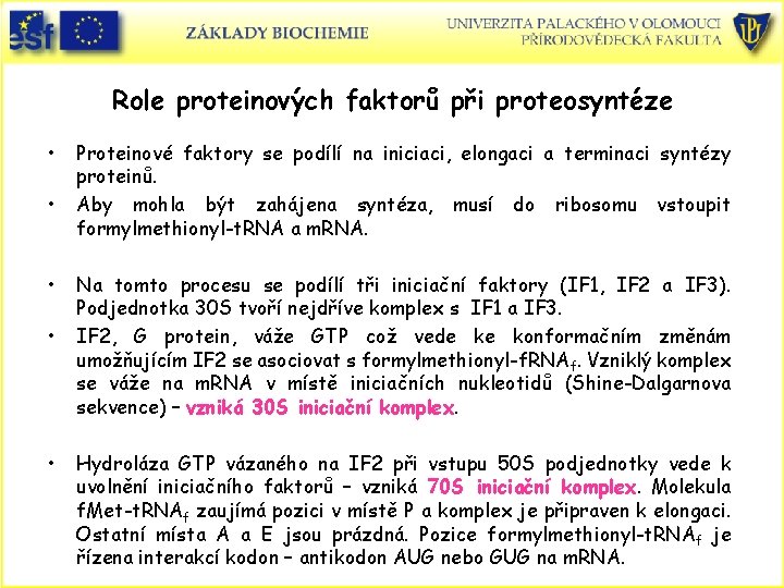 Role proteinových faktorů při proteosyntéze • • • Proteinové faktory se podílí na iniciaci,