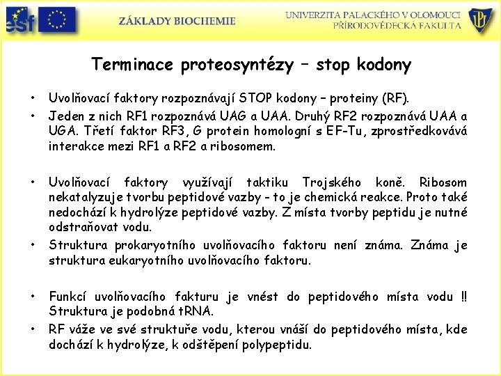 Terminace proteosyntézy – stop kodony • • Uvolňovací faktory rozpoznávají STOP kodony – proteiny