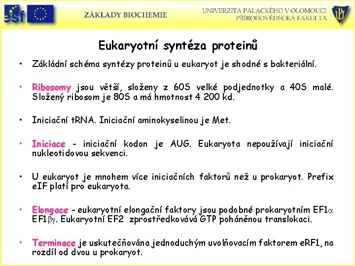 Eukaryotní syntéza proteinů • Zákládní schéma syntézy proteinů u eukaryot je shodné s bakteriální.