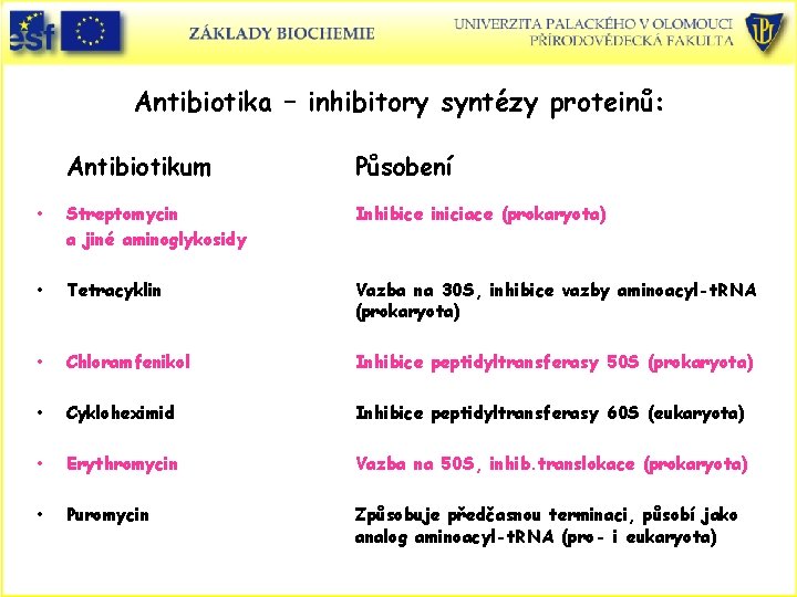 Antibiotika – inhibitory syntézy proteinů: Antibiotikum Působení • Streptomycin a jiné aminoglykosidy Inhibice iniciace