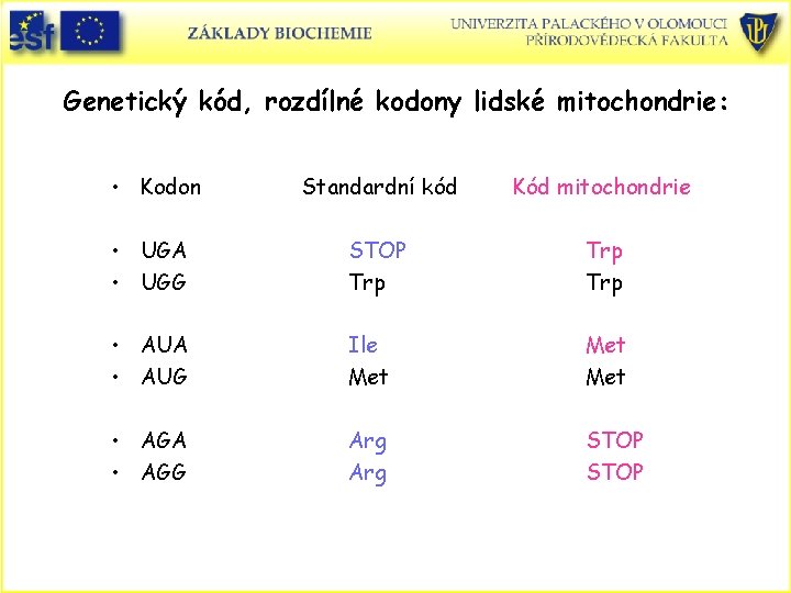 Genetický kód, rozdílné kodony lidské mitochondrie: • Kodon Standardní kód Kód mitochondrie • UGA