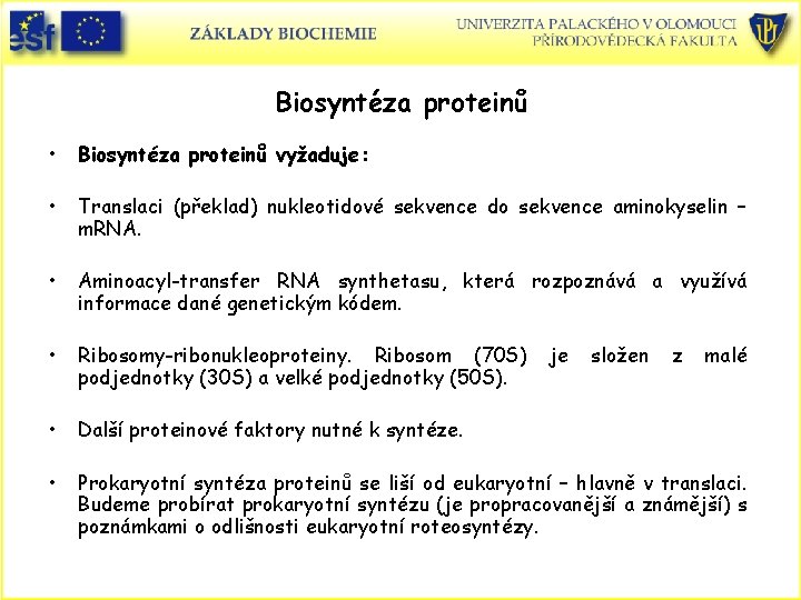 Biosyntéza proteinů • Biosyntéza proteinů vyžaduje: • Translaci (překlad) nukleotidové sekvence do sekvence aminokyselin