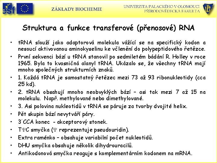 Struktura a funkce transferové (přenosové) RNA • • • t. RNA slouží jako adaptorová