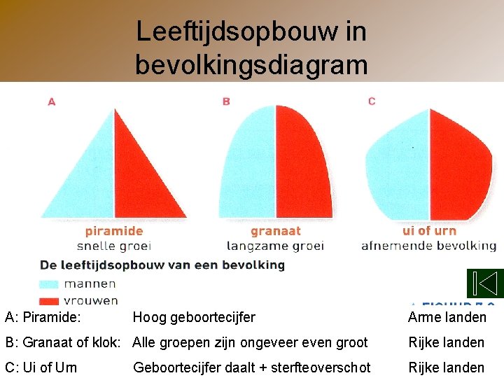 Leeftijdsopbouw in bevolkingsdiagram A: Piramide: Hoog geboortecijfer Arme landen B: Granaat of klok: Alle