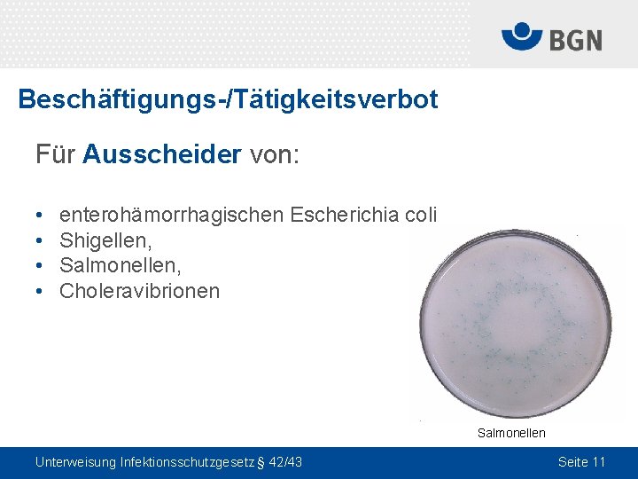 Beschäftigungs-/Tätigkeitsverbot Für Ausscheider von: • • enterohämorrhagischen Escherichia coli Shigellen, Salmonellen, Choleravibrionen Salmonellen Unterweisung