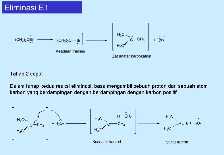 Tahap 2 cepat Dalam tahap kedua reaksi eliminasi, basa mengambil sebuah proton dari sebuah