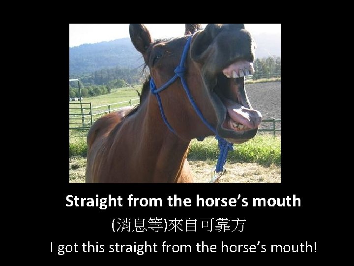 Straight from the horse’s mouth (消息等)來自可靠方 I got this straight from the horse’s mouth!