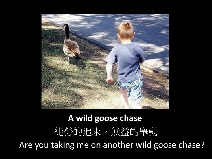 A wild goose chase 徒勞的追求，無益的舉動 Are you taking me on another wild goose chase?