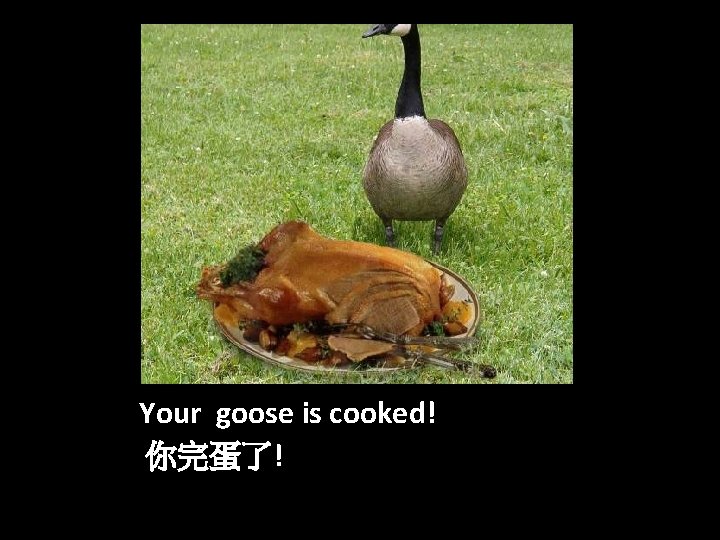 Your goose is cooked! 你完蛋了! 